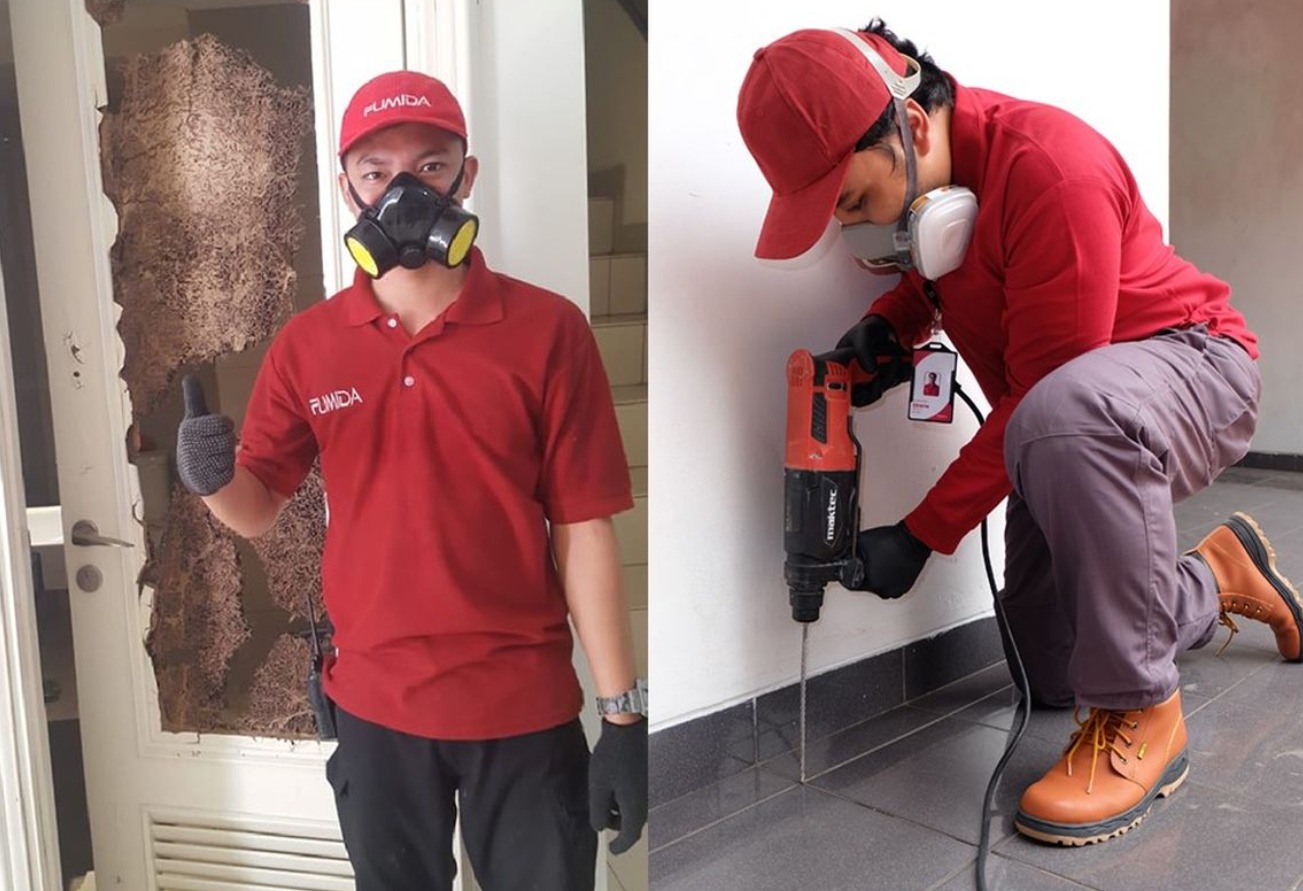 Lidah Buaya Bisa untuk Basmi Rayap, Benarkah Demikian?